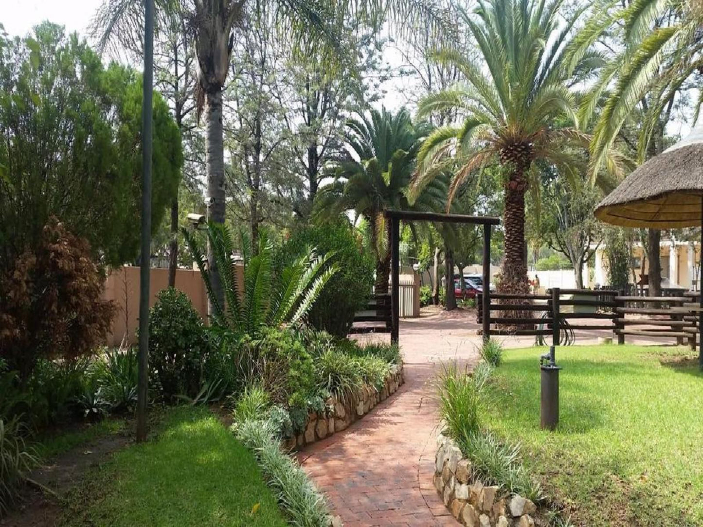 Dalberry Guest House Fourways Johannesburg Gauteng South Africa Palm Tree, Plant, Nature, Wood, Garden