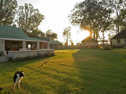 Dalmore Guest Farm Bandb Central Drakensberg Kwazulu Natal South Africa 