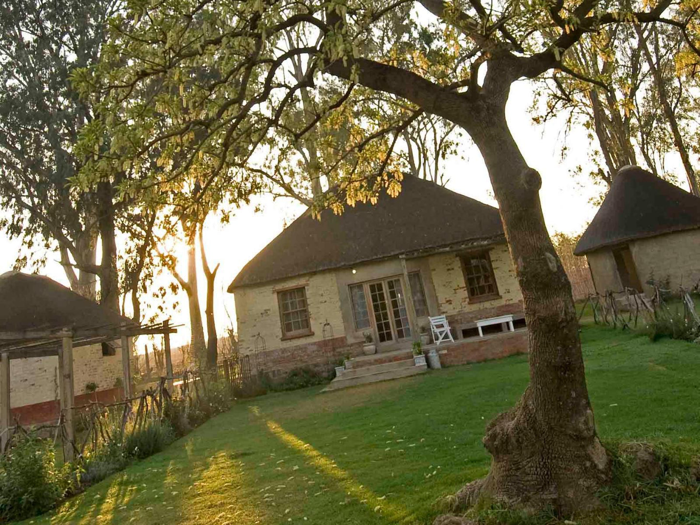 Dalmore Guest Farm Bandb Central Drakensberg Kwazulu Natal South Africa Building, Architecture, House, Tree, Plant, Nature, Wood