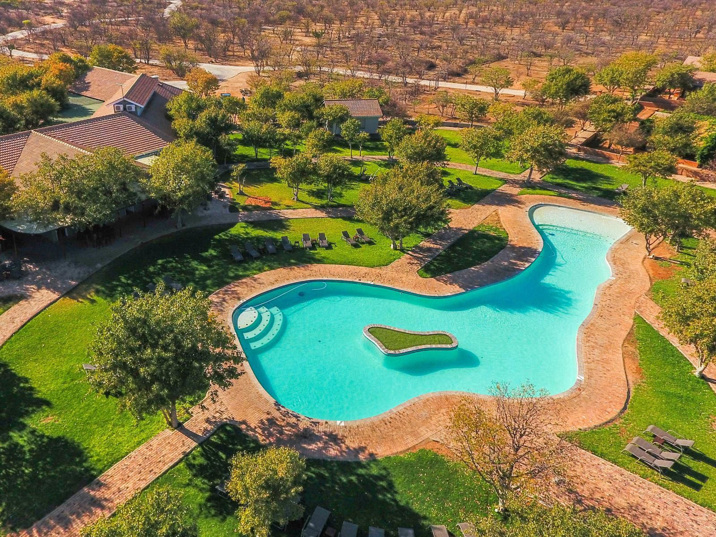 Damara Mopane Lodge, Gondwana Collection Namibia, Garden, Nature, Plant, Swimming Pool