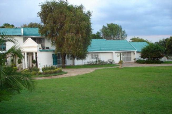 Dancing Ducks Bon Accord Pretoria Tshwane Gauteng South Africa House, Building, Architecture, Palm Tree, Plant, Nature, Wood