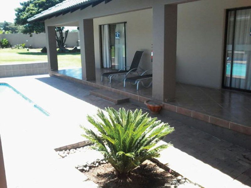 Danquah Guest Lodge Van Riebeeck Park Johannesburg Gauteng South Africa Unsaturated, Palm Tree, Plant, Nature, Wood