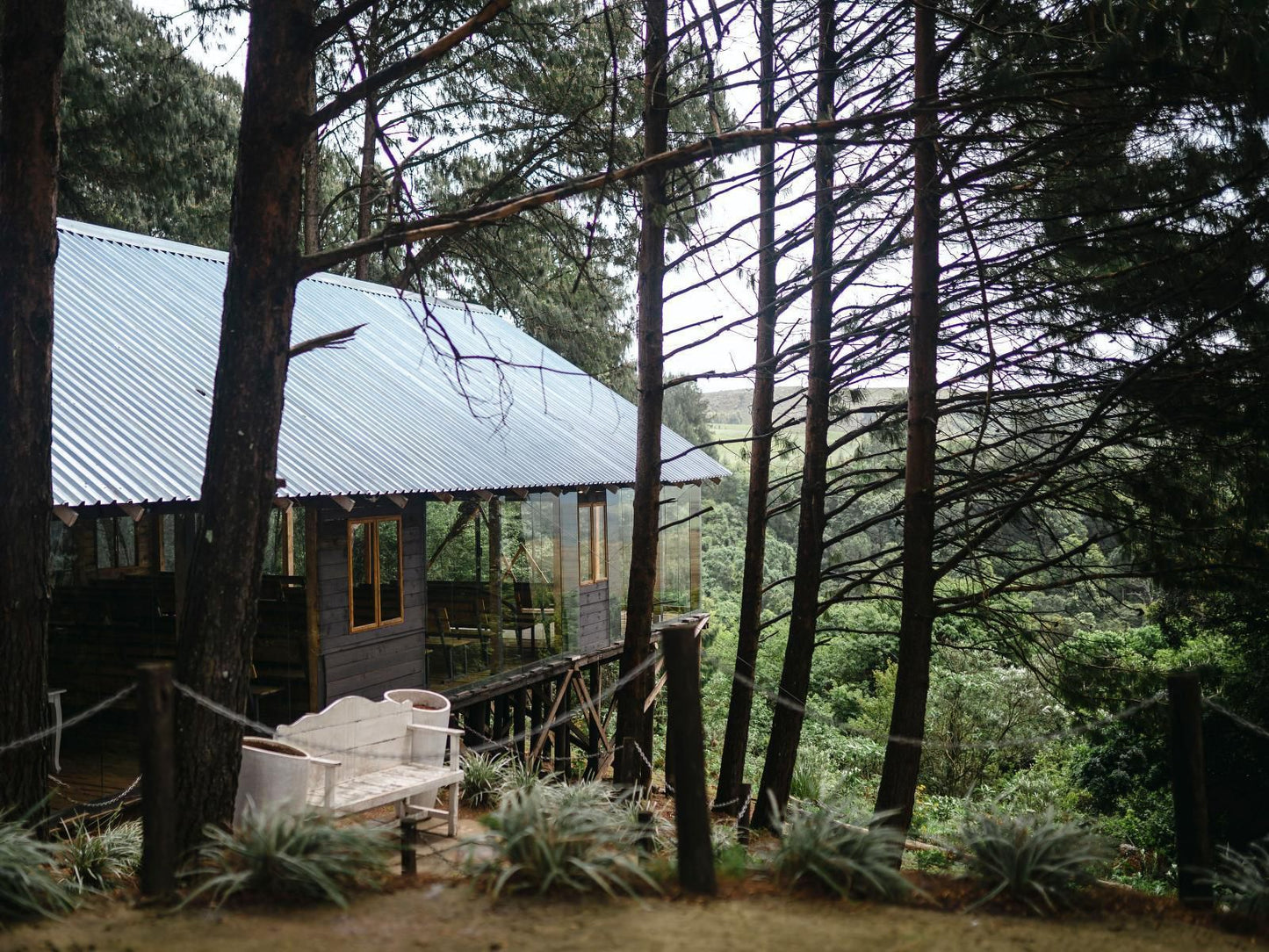 Dargle Forest Lodge Dargle Howick Kwazulu Natal South Africa Cabin, Building, Architecture, Tree, Plant, Nature, Wood