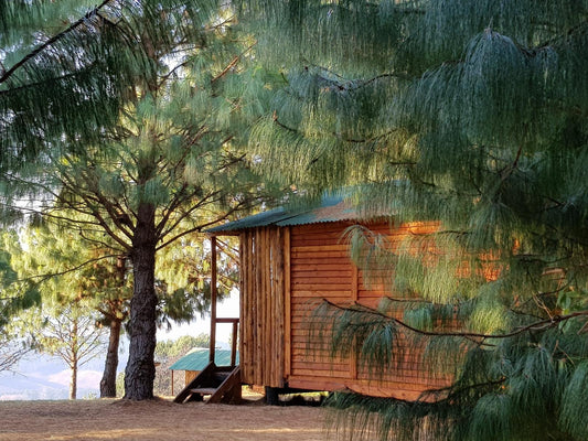 4 Sleeper Basic Cabin @ Dargle Forest Lodge