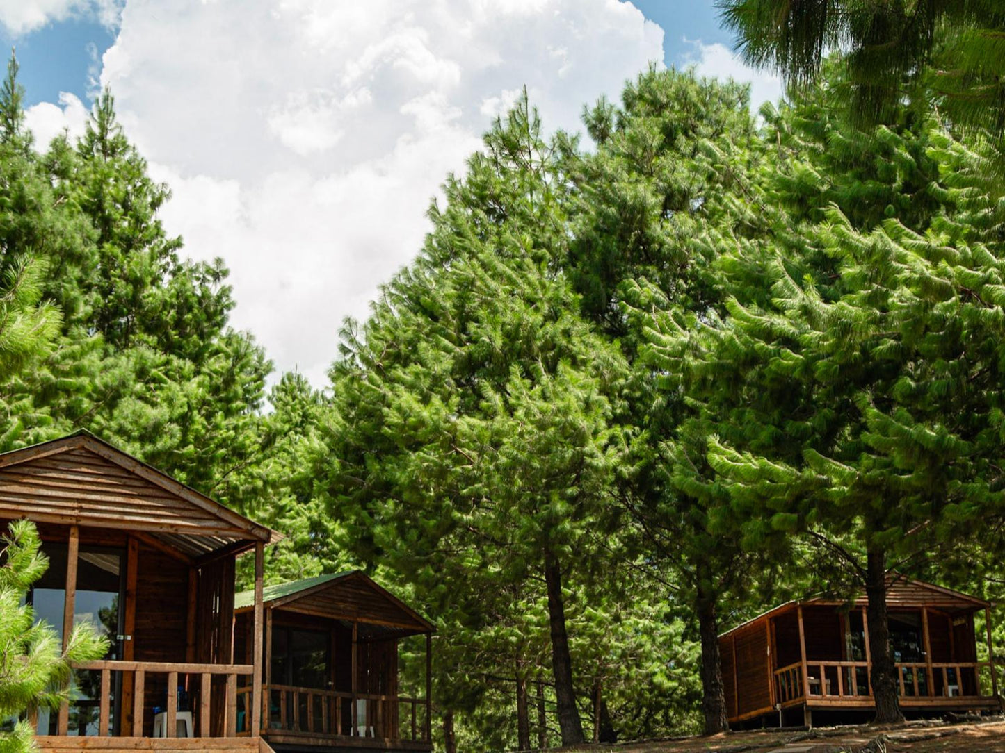 4 Sleeper Basic Cabin @ Dargle Forest Lodge