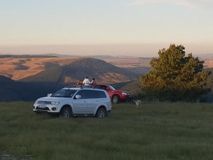 Dargle Forest Lodge Dargle Howick Kwazulu Natal South Africa Lowland, Nature, Vehicle, Car