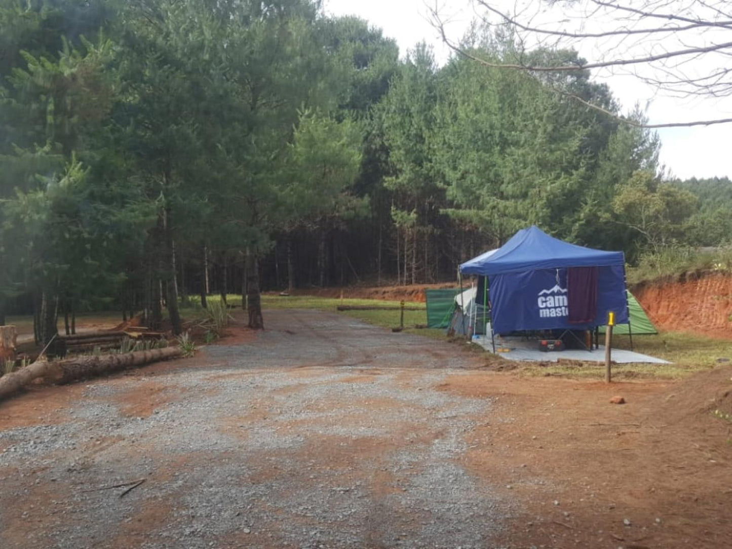 Campsite @ Dargle Forest Lodge