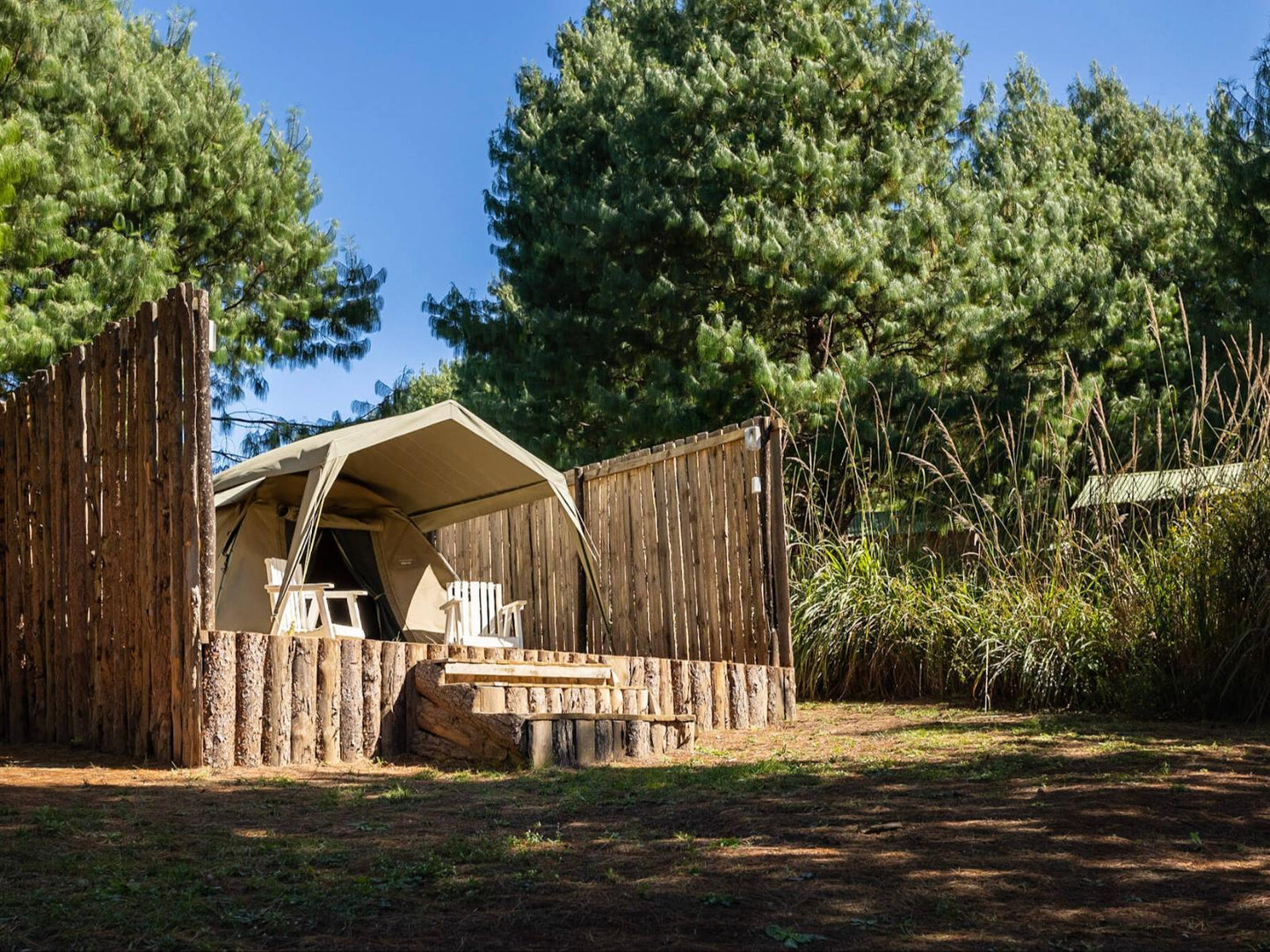 Safari Tent 2 @ Dargle Forest Lodge