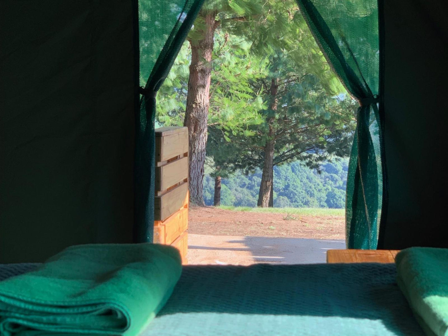 Safari Tent 4 sleeper @ Dargle Forest Lodge