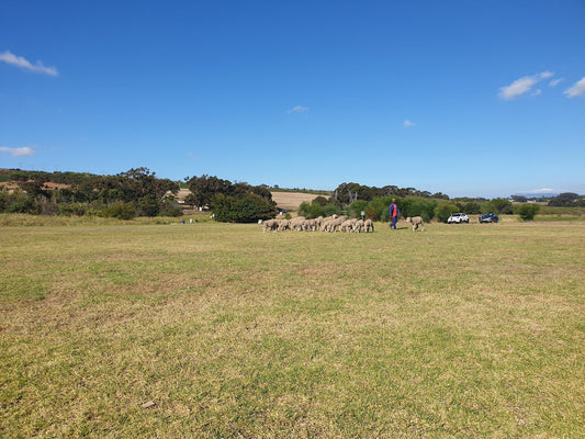 D Aria Guest Cottages Vergesig Cape Town Western Cape South Africa Complementary Colors, Field, Nature, Agriculture, Lowland