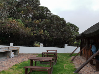 D Aria Guest Cottages Vergesig Cape Town Western Cape South Africa 