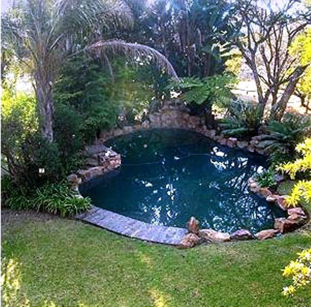 Dark Chocolate Superior Guest House Pretoria East Pretoria Tshwane Gauteng South Africa Plant, Nature, Garden, Swimming Pool