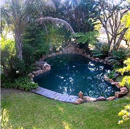 Dark Chocolate Superior Guest House Pretoria East Pretoria Tshwane Gauteng South Africa Plant, Nature, Garden, Swimming Pool