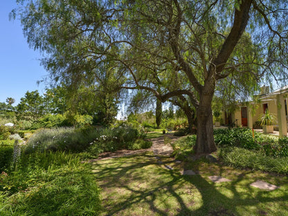Darling Lodge Guest House Darling Western Cape South Africa Plant, Nature, Tree, Wood, Garden