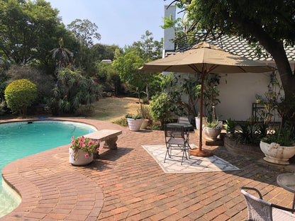 Darrenwood Guesthouse Darrenwood Johannesburg Gauteng South Africa Palm Tree, Plant, Nature, Wood, Garden, Swimming Pool