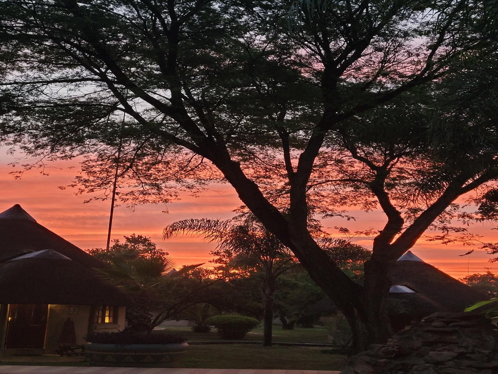 Das Landhaus Guest Lodge Dainfern Johannesburg Gauteng South Africa Sky, Nature, Framing, Sunset