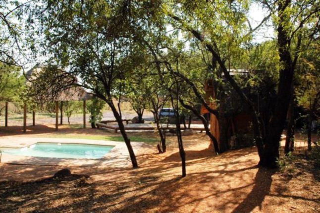 Dassie Paleis Brits North West Province South Africa Swimming Pool