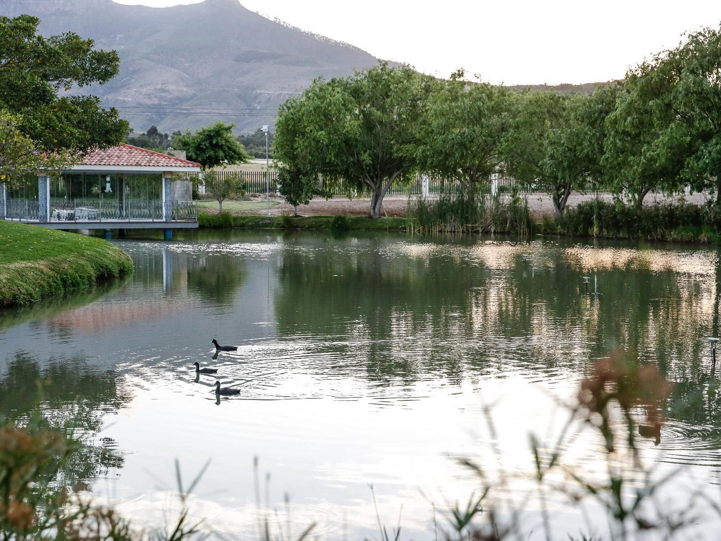 Dawn Mountains Farm, Lake, Nature, Waters, River, Highland