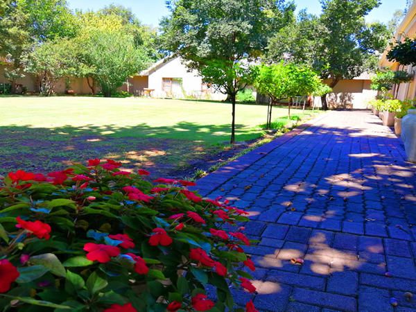 Dawnview Guest House Vereeniging Gauteng South Africa Complementary Colors, Plant, Nature, Garden