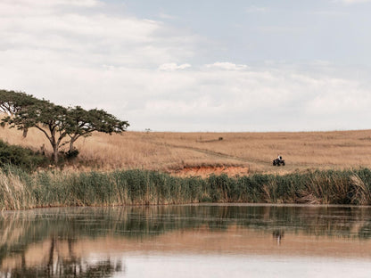 Dawsons Game And Trout Lodge Badplaas Mpumalanga South Africa River, Nature, Waters, Lowland