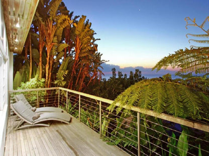 Days At Sea Beach Lodge Trafalgar Kwazulu Natal South Africa Complementary Colors, Palm Tree, Plant, Nature, Wood