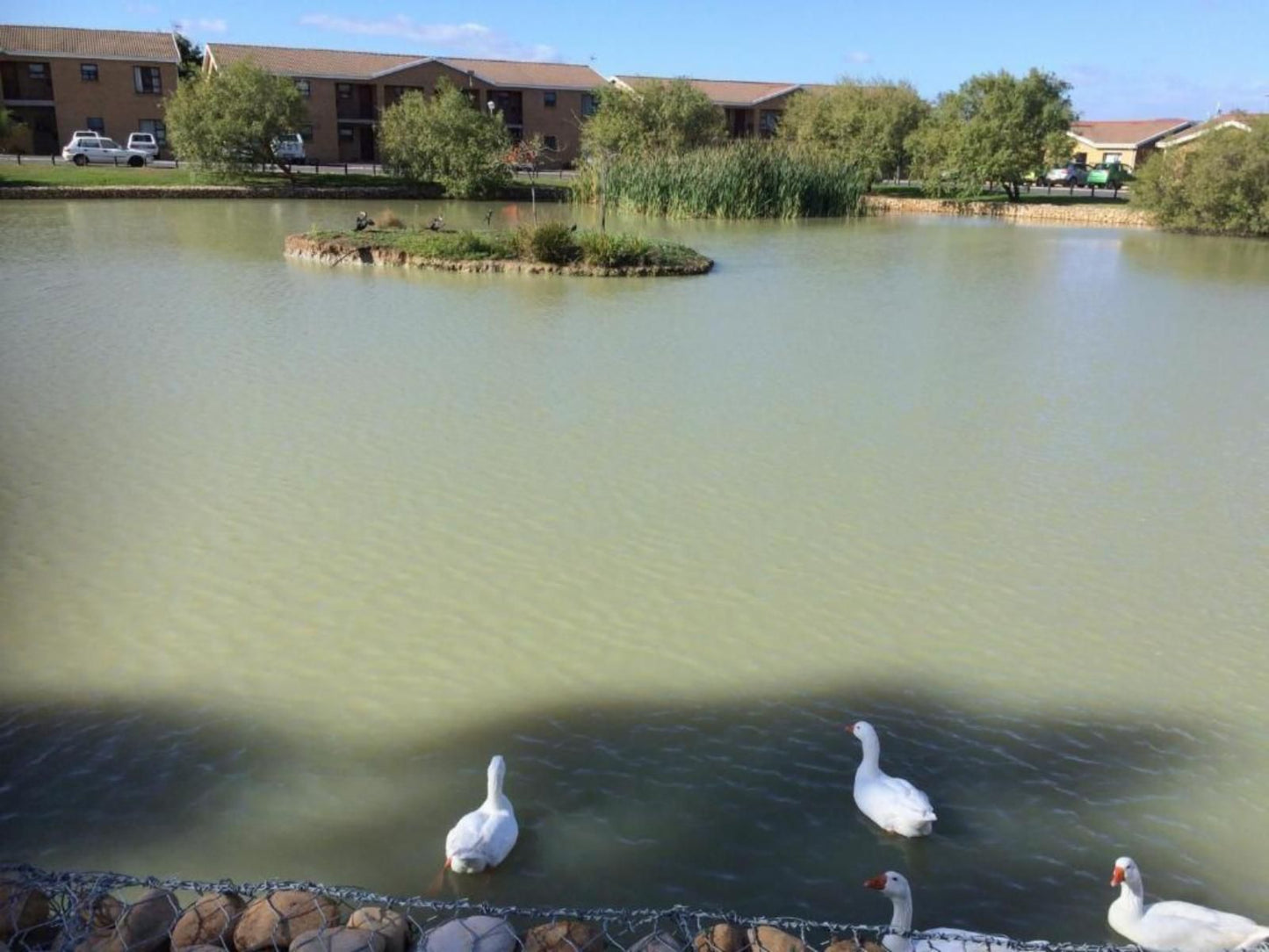 Dcs Self Catering Accomodation Durbanville Kenridge No 1 Durbanville Durbanville Cape Town Western Cape South Africa Bird, Animal, River, Nature, Waters