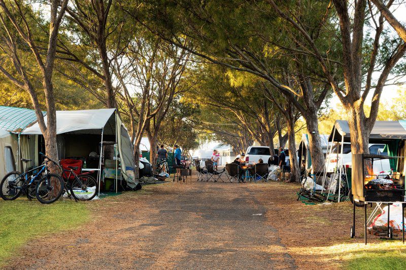 De Bakke Santos Camp And Caravan Park Santos Bay Mossel Bay Western Cape South Africa Tent, Architecture