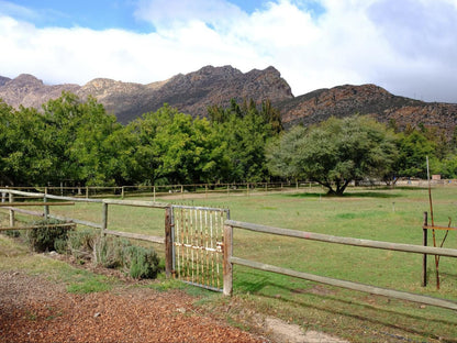 De Bos Backpackersand Camping Montagu Western Cape South Africa 