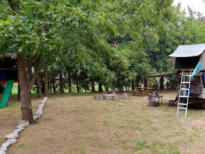 De Bos Backpackersand Camping Montagu Western Cape South Africa Tent, Architecture, Tree, Plant, Nature, Wood