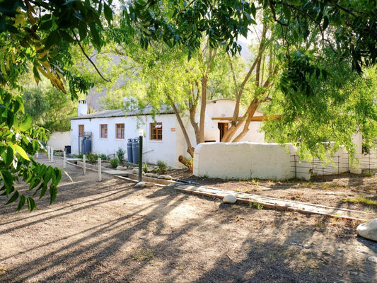 De Bos Backpackersand Camping Montagu Western Cape South Africa House, Building, Architecture, Palm Tree, Plant, Nature, Wood