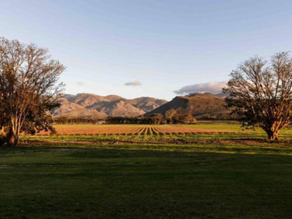 De Goede Hoop Farmstead Worcester Western Cape South Africa Complementary Colors, Field, Nature, Agriculture, Highland