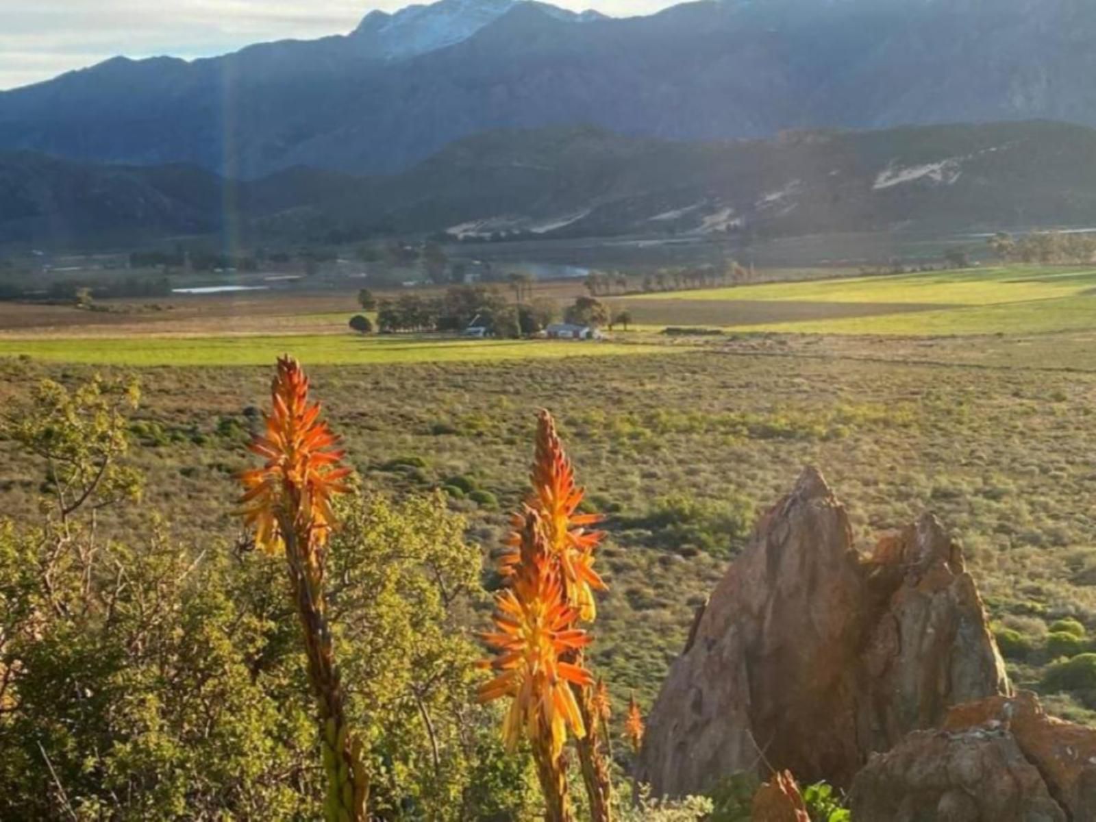 De Goede Hoop Farmstead Worcester Western Cape South Africa Mountain, Nature, Plant