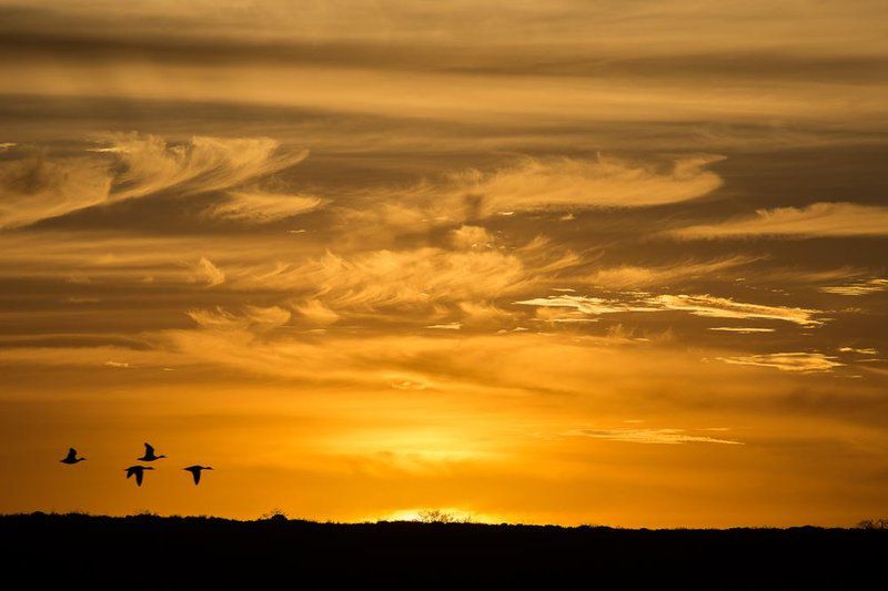 De Hoop Collection Campsite Rondawels De Hoop Nature Reserve Western Cape South Africa Colorful, Sky, Nature, Clouds, Sunset