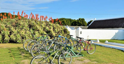 De Hoop Collection Campsite Rondawels De Hoop Nature Reserve Western Cape South Africa Complementary Colors, Bicycle, Vehicle, Cycling, Sport