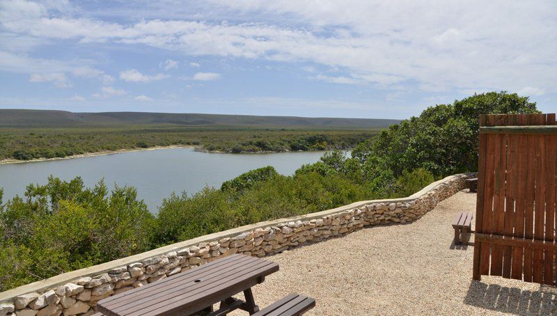 De Hoop Collection Campsite Rondawels De Hoop Nature Reserve Western Cape South Africa Complementary Colors, Reptile, Animal, Nature