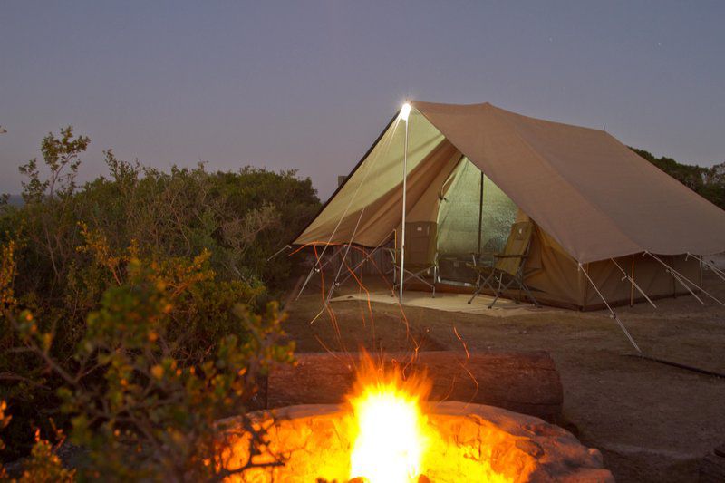 De Hoop Pop Up Camp De Hoop Nature Reserve Western Cape South Africa Tent, Architecture