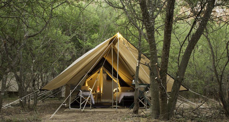 De Hoop Pop Up Camp De Hoop Nature Reserve Western Cape South Africa Tent, Architecture