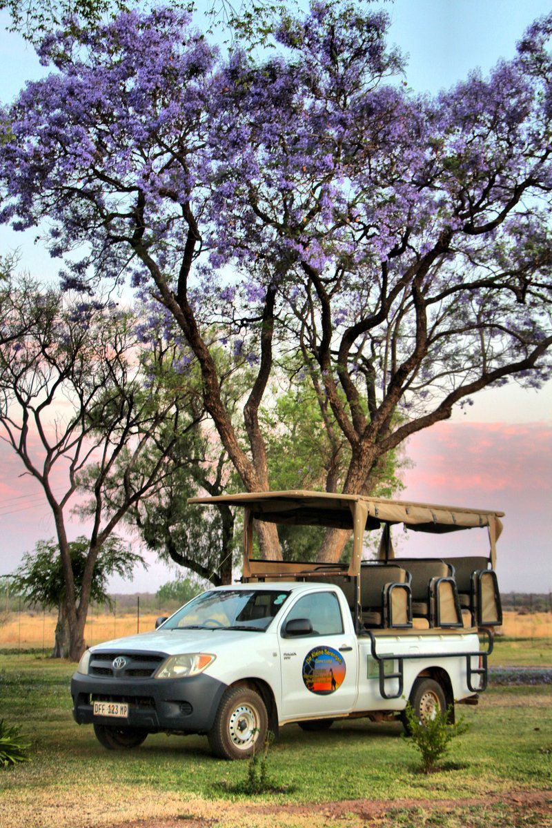 De Kleine Serengeti Game Lodge Dinokeng Game Reserve Gauteng South Africa Vehicle