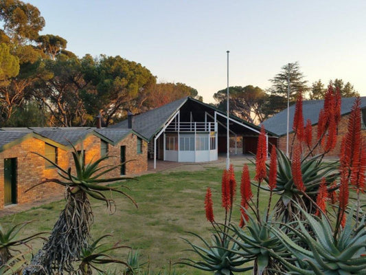 De Laer Stellenbosch Stellenbosch Western Cape South Africa House, Building, Architecture
