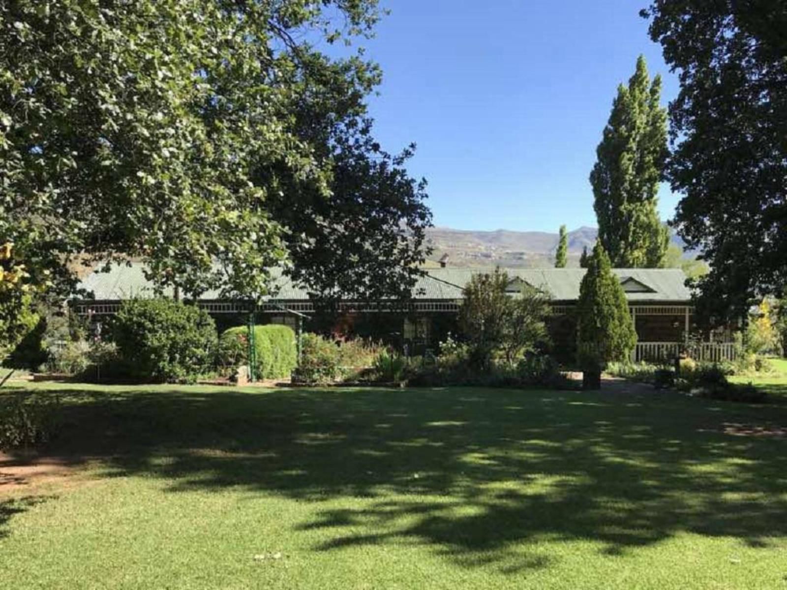 De Molen Farm Clarens Free State South Africa House, Building, Architecture, Garden, Nature, Plant