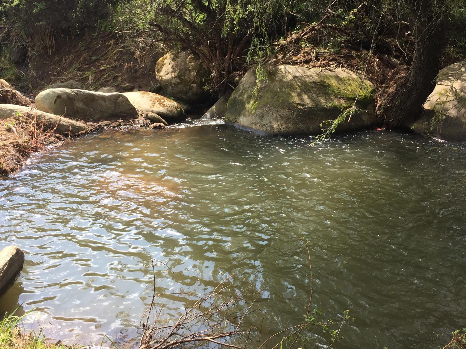 De Molen Farm Clarens Free State South Africa Forest, Nature, Plant, Tree, Wood, River, Waters, Waterfall