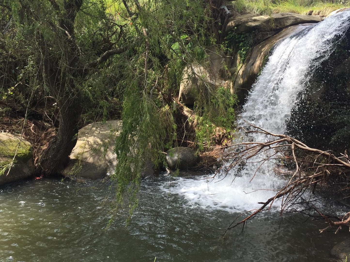 De Molen Farm Clarens Free State South Africa River, Nature, Waters, Tree, Plant, Wood, Waterfall