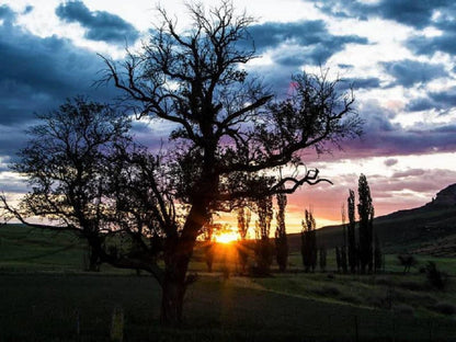 De Molen Farm Clarens Free State South Africa Sky, Nature, Tree, Plant, Wood, Sunset