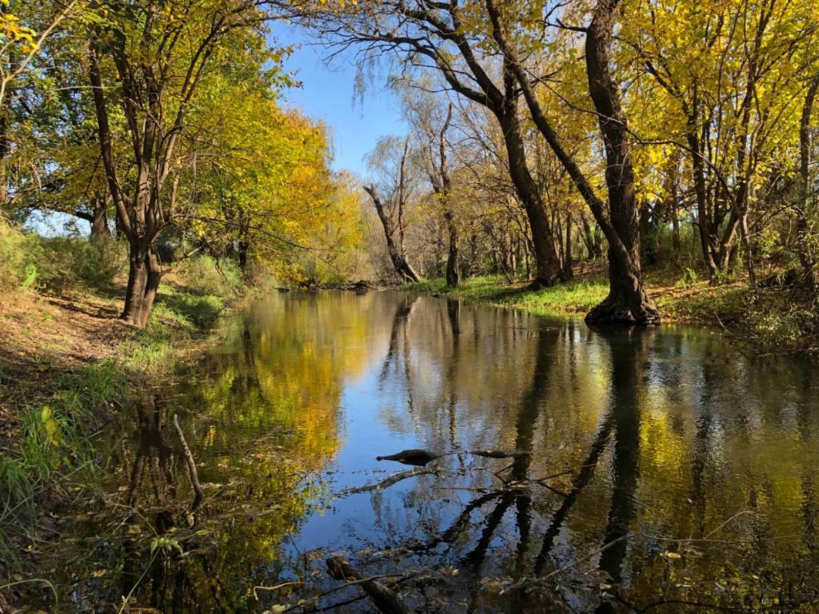 De Oude Melkstal Mooivallei Park Potchefstroom North West Province South Africa River, Nature, Waters, Tree, Plant, Wood, Autumn