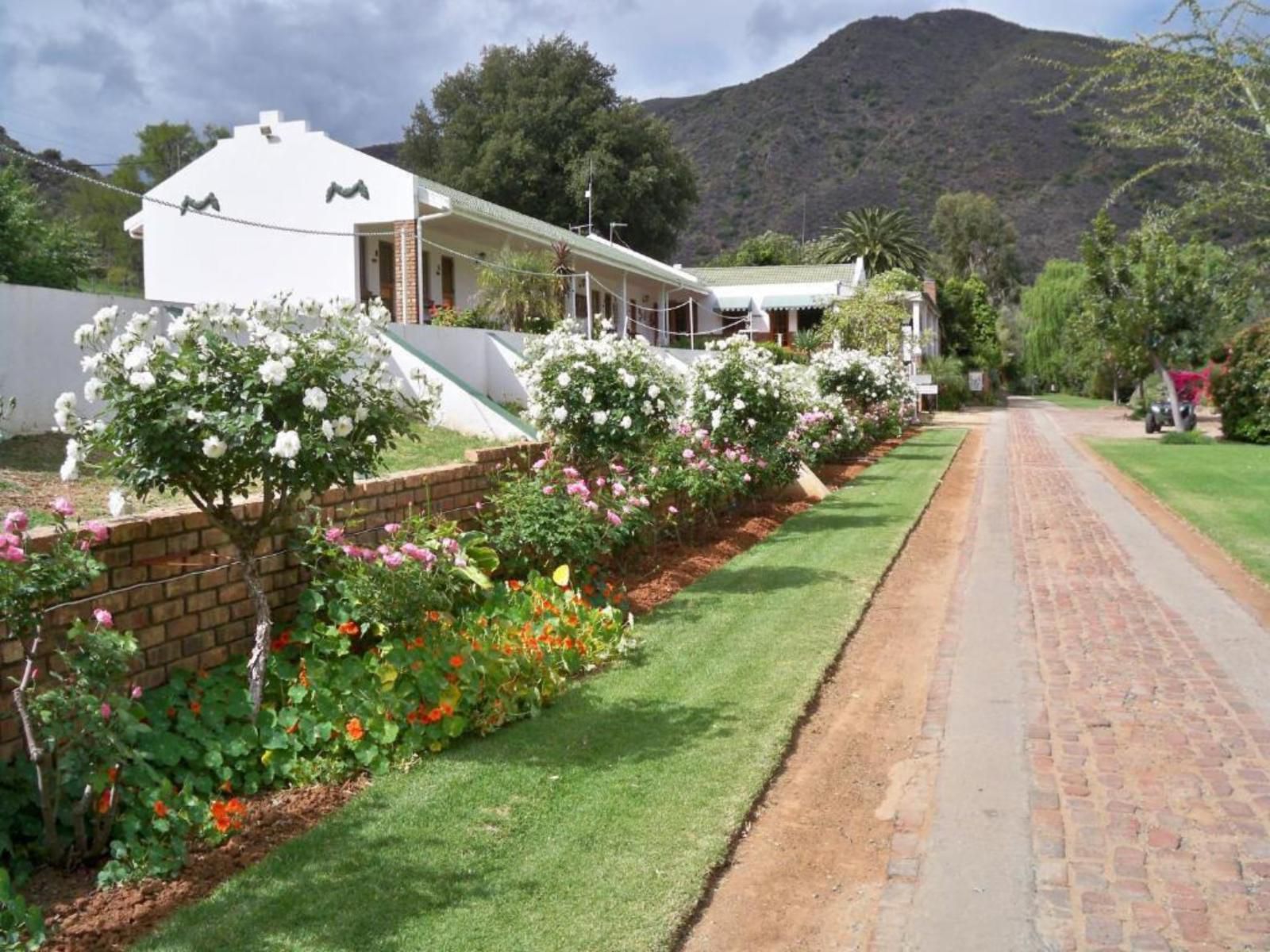 De Oude Meul Country Lodge Oudtshoorn Western Cape South Africa House, Building, Architecture, Palm Tree, Plant, Nature, Wood, Garden