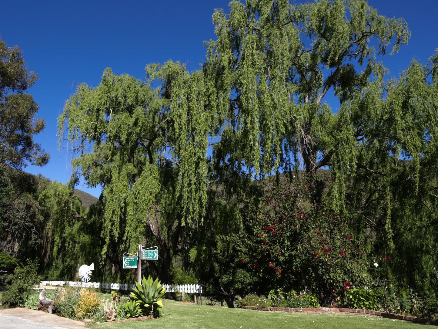 De Oude Meul Country Lodge Oudtshoorn Western Cape South Africa Complementary Colors, Plant, Nature, Tree, Wood