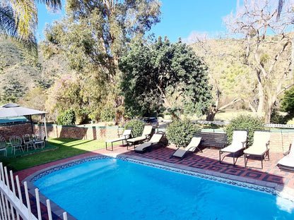 De Oude Meul Country Lodge Oudtshoorn Western Cape South Africa Complementary Colors, Garden, Nature, Plant, Swimming Pool
