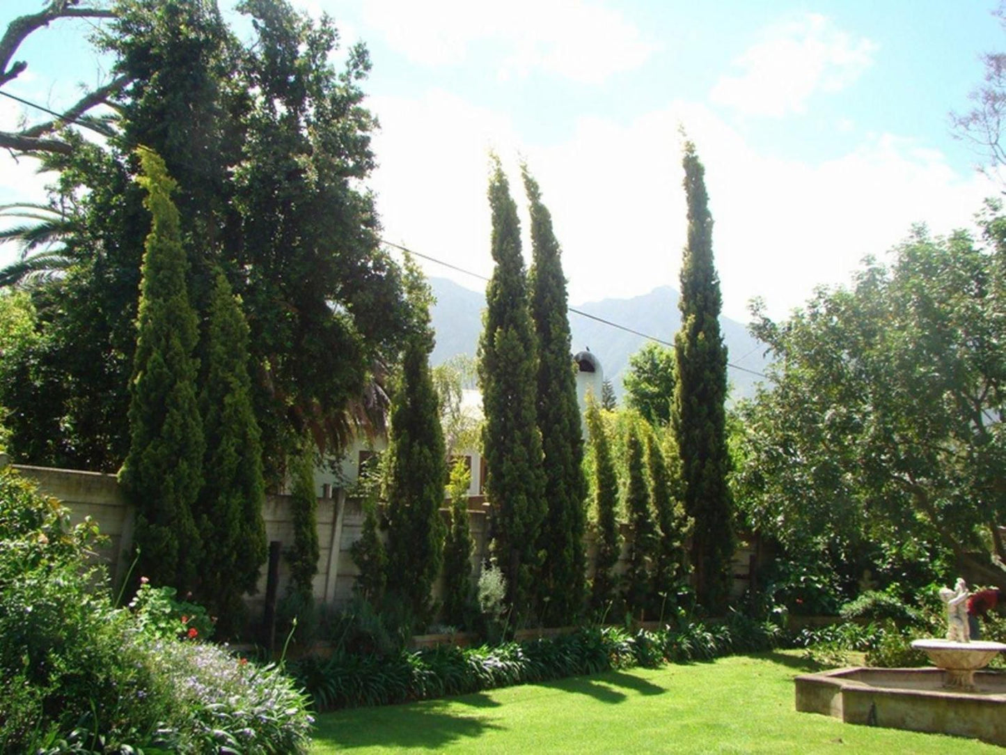 De Oude Pastorie Swellendam Western Cape South Africa Plant, Nature, Garden