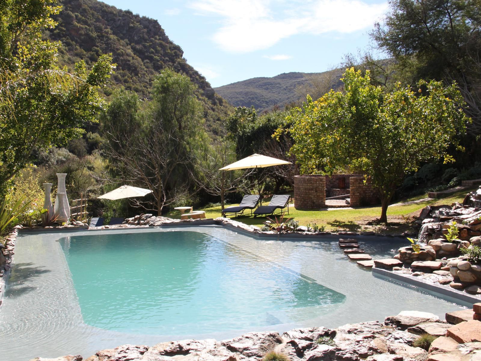 De Poort Country Lodge, Garden, Nature, Plant, Swimming Pool