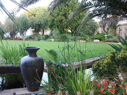 De Stallen Guesthouse, Palm Tree, Plant, Nature, Wood, Garden